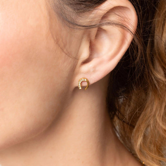 Horseshoe Stone Earring