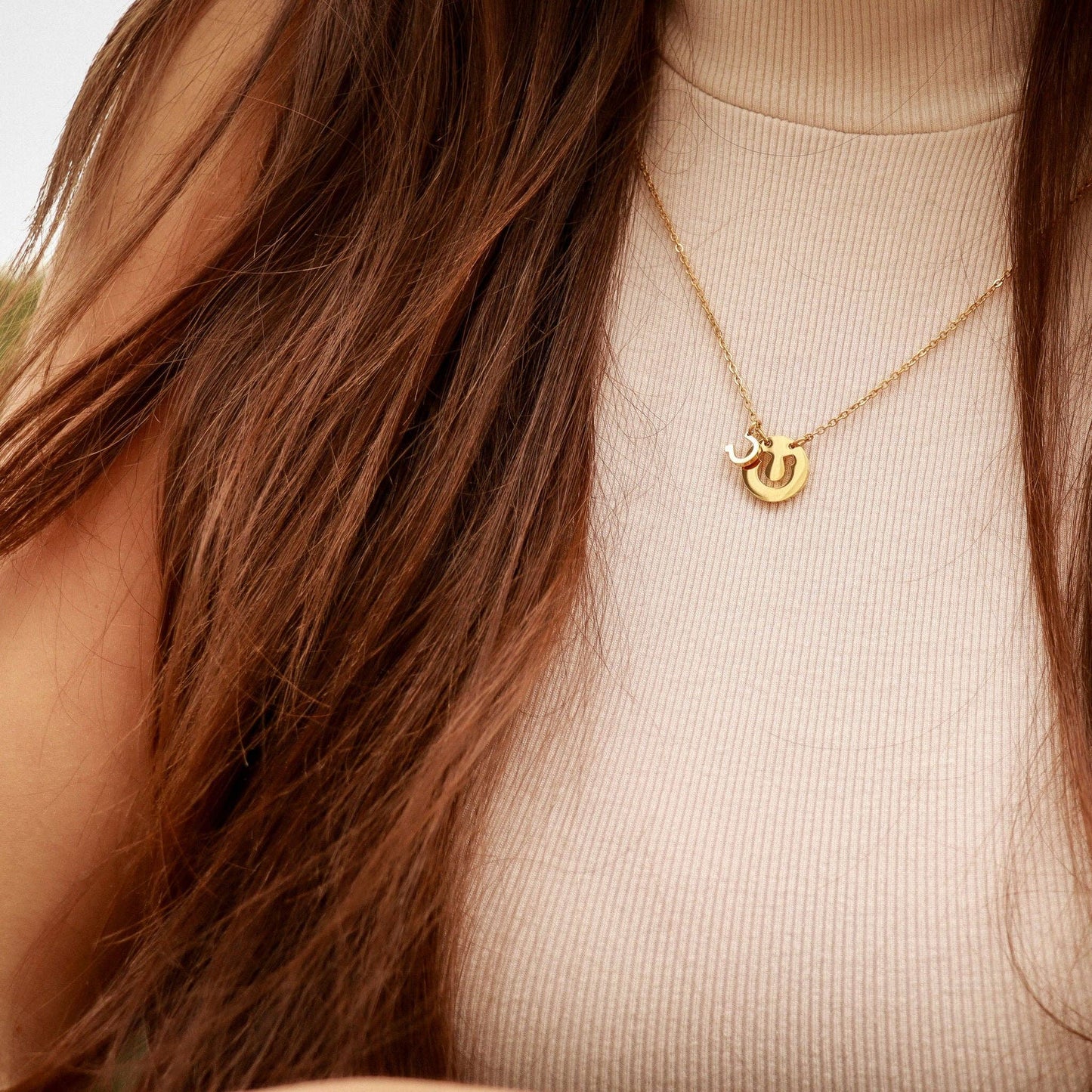 Horseshoe Necklace