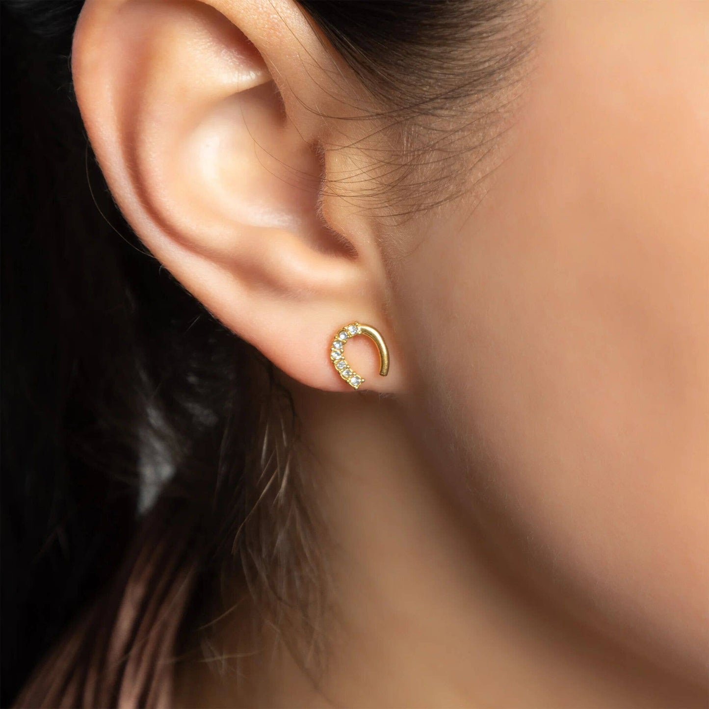 Horseshoe Stone Earring