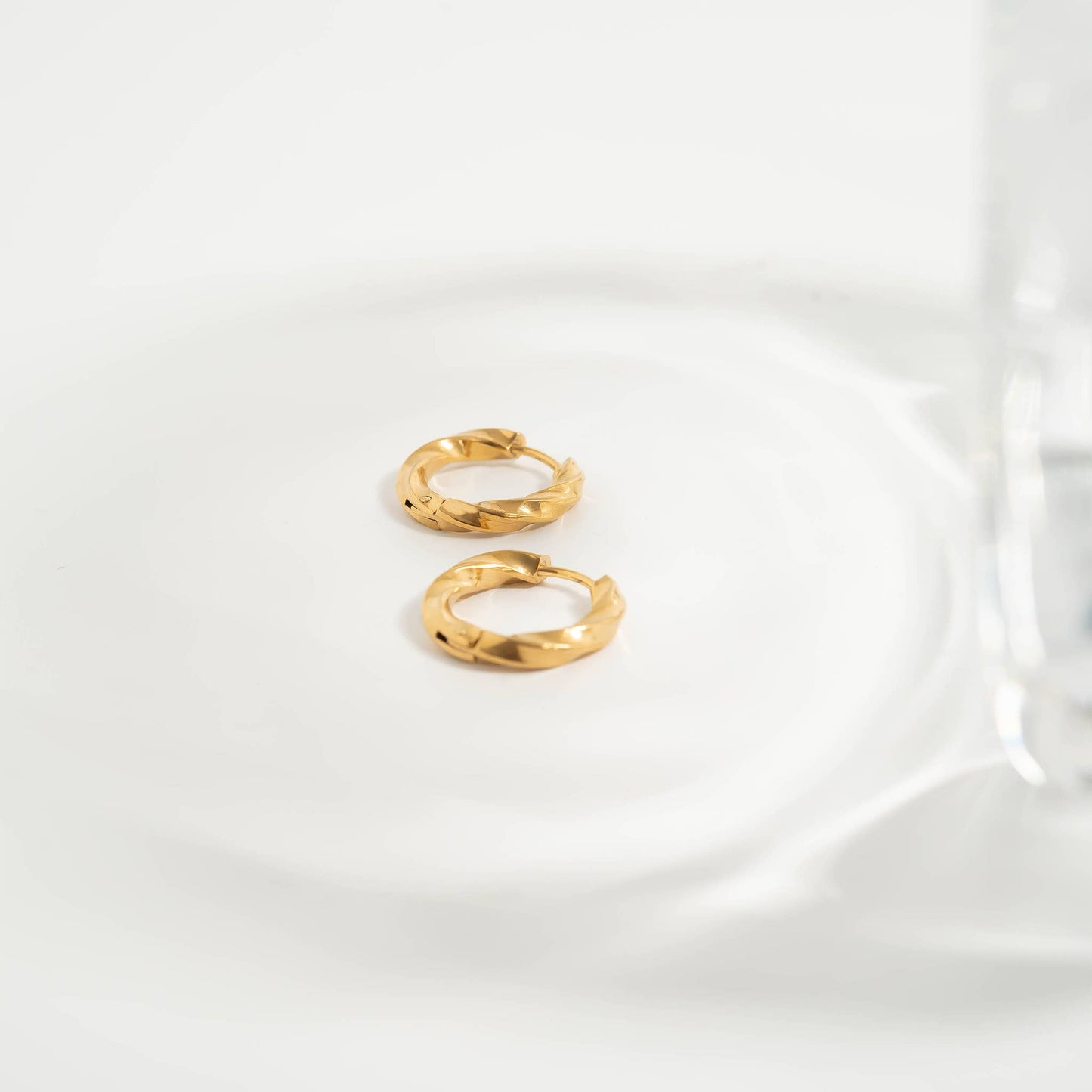 Twisted Hoop Earrings