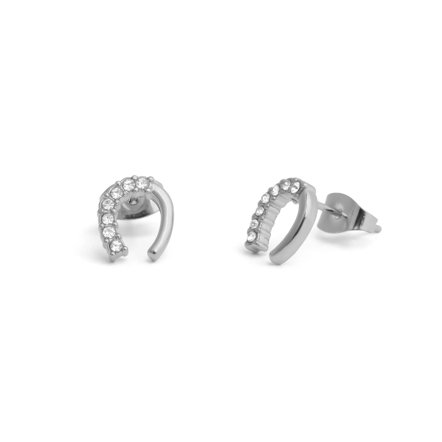 Horseshoe Stone Earring